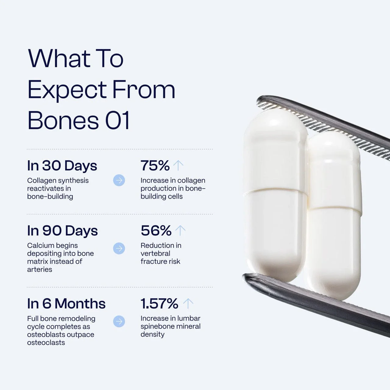 Bones [01] - Image 8
