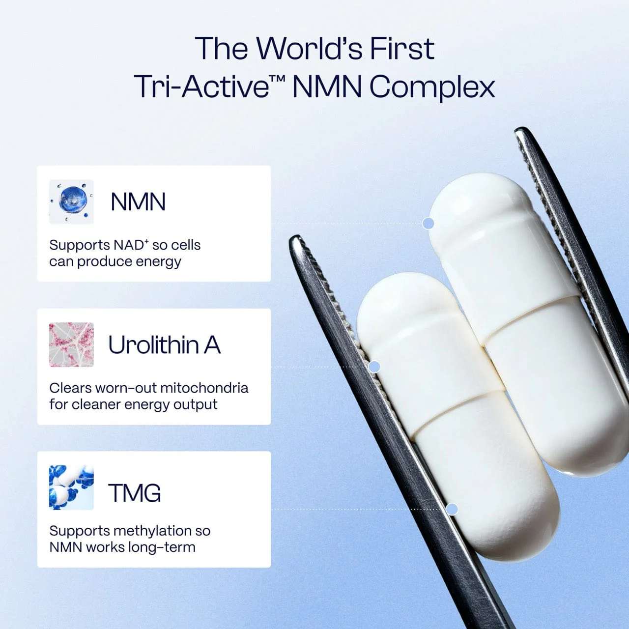 Tri-Active™ Cellular Longevity Complex - Image 3