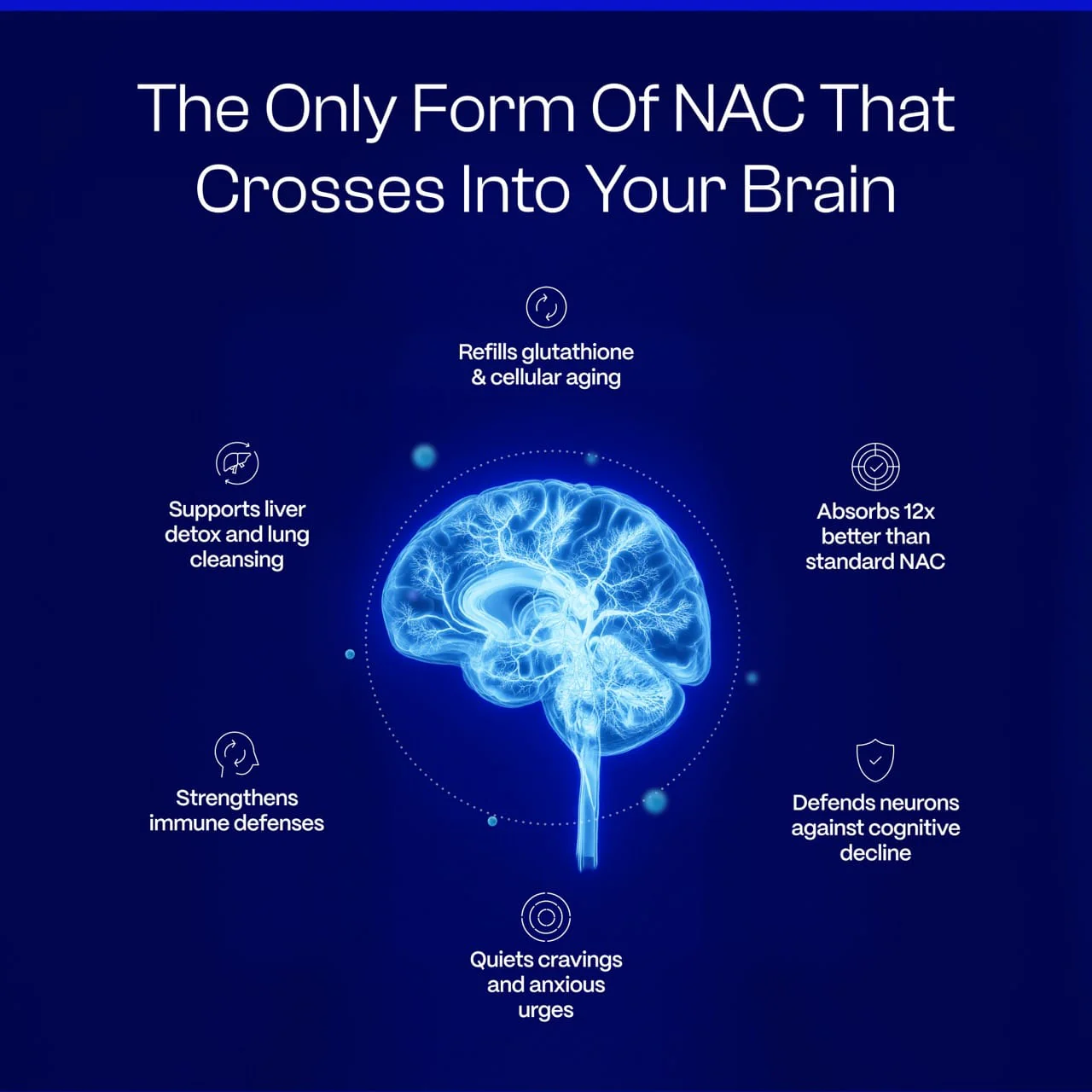 Ultimate Nacet - Image 3
